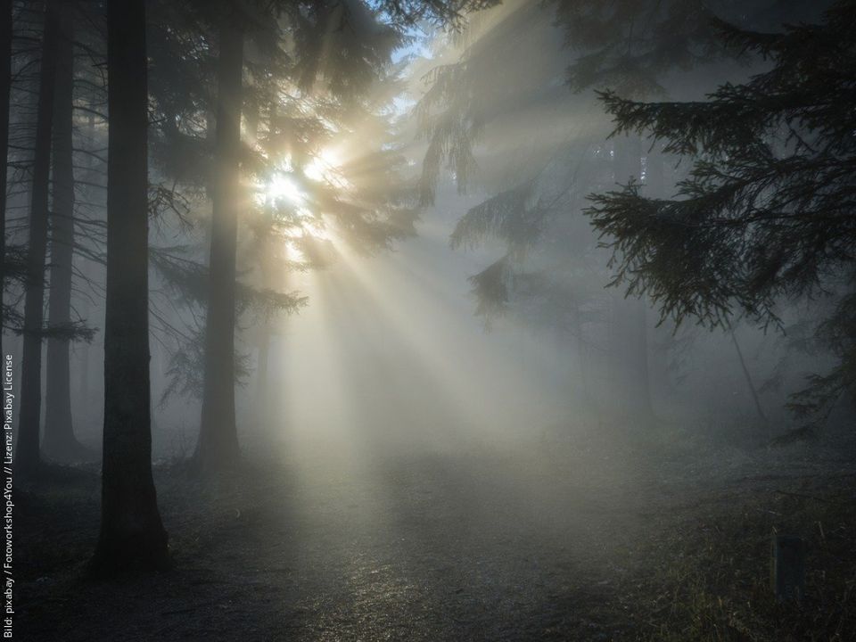 Titelbild zur Predigt "Reiß die Himmel auf".