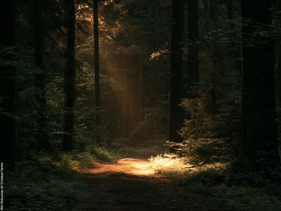Titelbild zur Predigt "Licht".