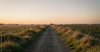Ein schmaler Weg führt durch eine ruhige Landschaft im warmen Abendlicht. Die Szene wirkt offen und still. Sie erinnert an Aufbruch, Vertrauen und einen behutsamen Schritt ins Wochenende.